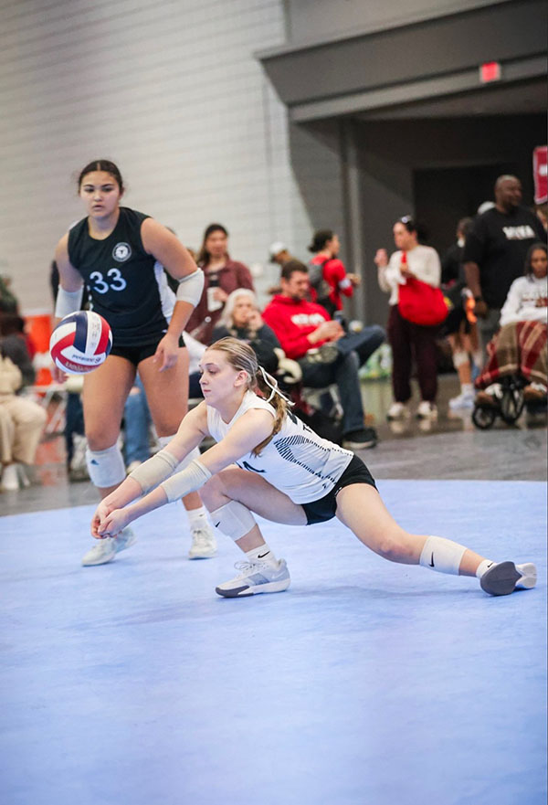 Explore Our Volleyball World