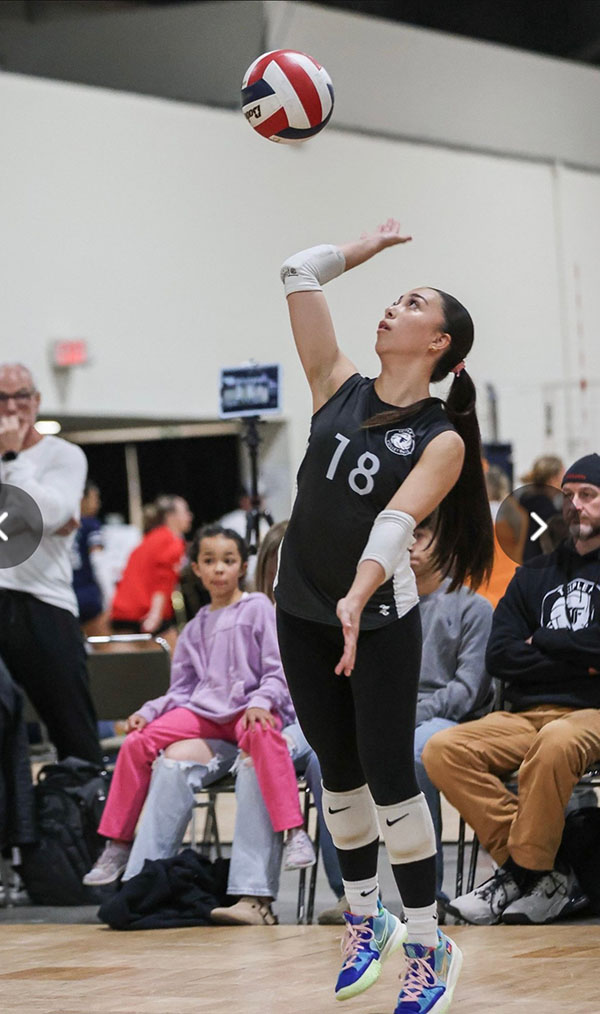 Explore Our Volleyball World