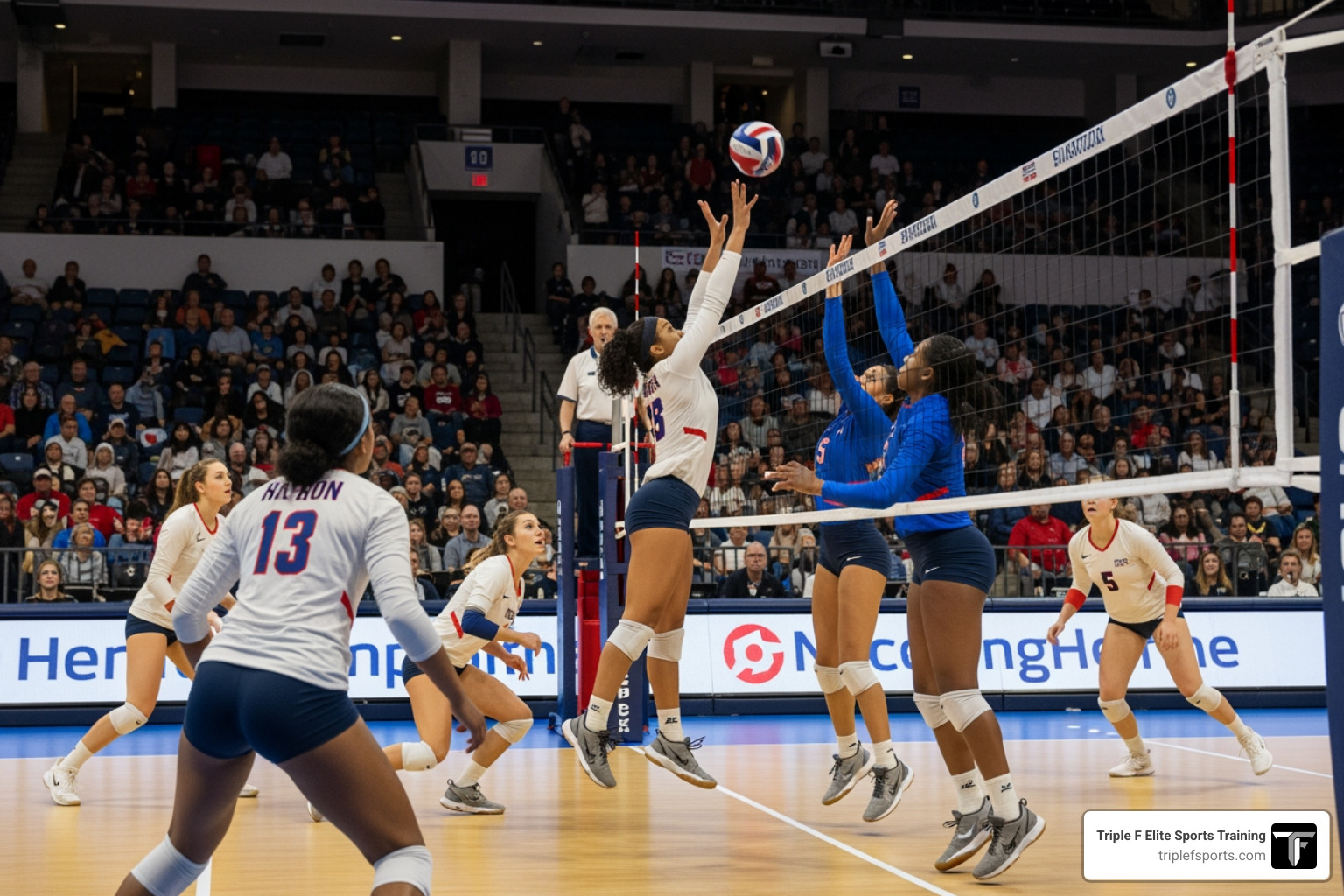 everything-you-need-to-know-about-elite-volleyball-image elite volleyball match